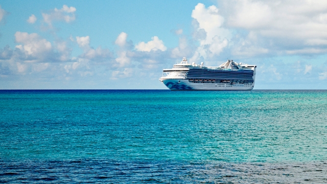 Princess cruise ship out at sea